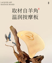 Load image into Gallery viewer, Scrapping Plate(Jadehare)