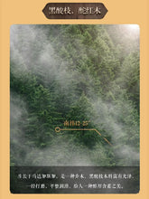 Load image into Gallery viewer, Teeth-inserted Comb:HSZ 3-11