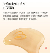 Load image into Gallery viewer, Scrapping Plate(Jadehare)