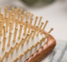 将图片加载到图库查看器,HDS Care Brush 1-1