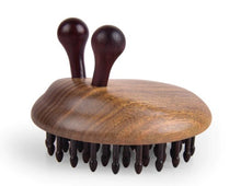 Load image into Gallery viewer, Snail (Special Ring) Hair Brush/Massager