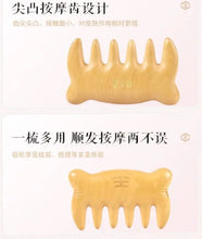 Load image into Gallery viewer, Meridian Massage Comb -Tiger 经络按摩梳瑞虎