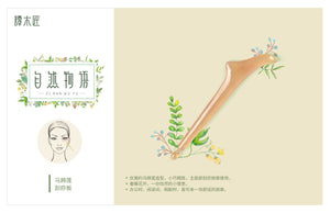 Scrapping Plate：Calla Lily 刮痧板：马蹄莲