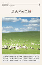 将图片加载到图库查看器，Scrapping Board Horn 2-6

