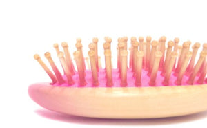 Petal Pink Hair Brush